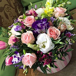 A box of the eustoma "Gentle embrace"