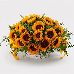 Корзина с подсолнухами "Солнечная"