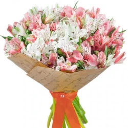 15 branches of alstroemeria