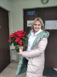 Замовити з доставкою - Різдвяна квітка пуансетія