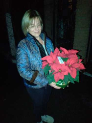 Доставка по Украине - Рождественский цветок пуансетия