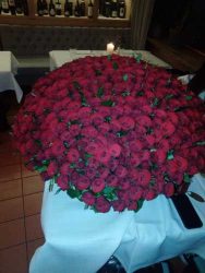 Доставка по Украине - Корзина из 501 красной розы