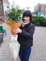 Доставка по Украине - Цитрусовое растение Каламондин