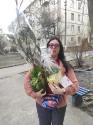 Delivery in Ukraine - Ficus Cyathistipula