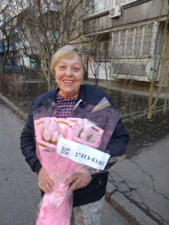 Delivery in Ukraine - 9 pink tulips