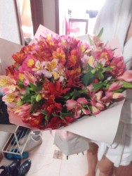 Bouquet of alstroemerias "Colorful" - fast delivery from ProFlowers.ua