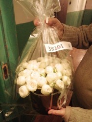 Доставка по Україні - Коробка кущових троянд "Карамель"