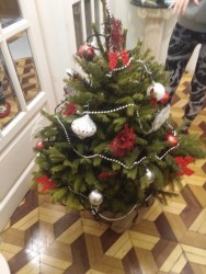 Delivery in Ukraine - Christmas tree!