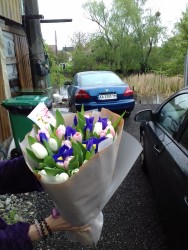 Buy with delivery - Bouquet of tulips and irises "Breath of spring"