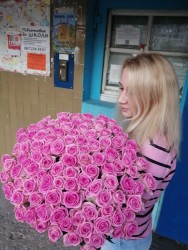 Роза розовая поштучно - быстрая доставка от ProFlowers.ua